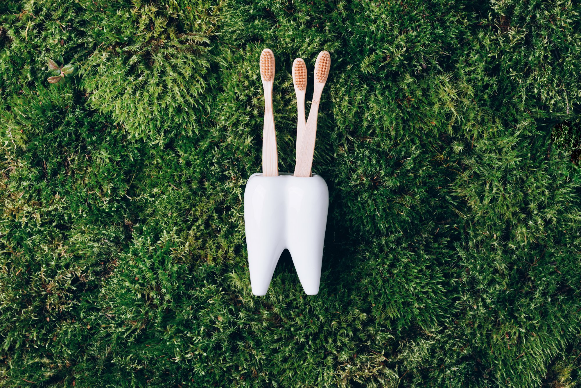 Fauteuil dentaire cabinet Charbit Nice - Conseils brossage