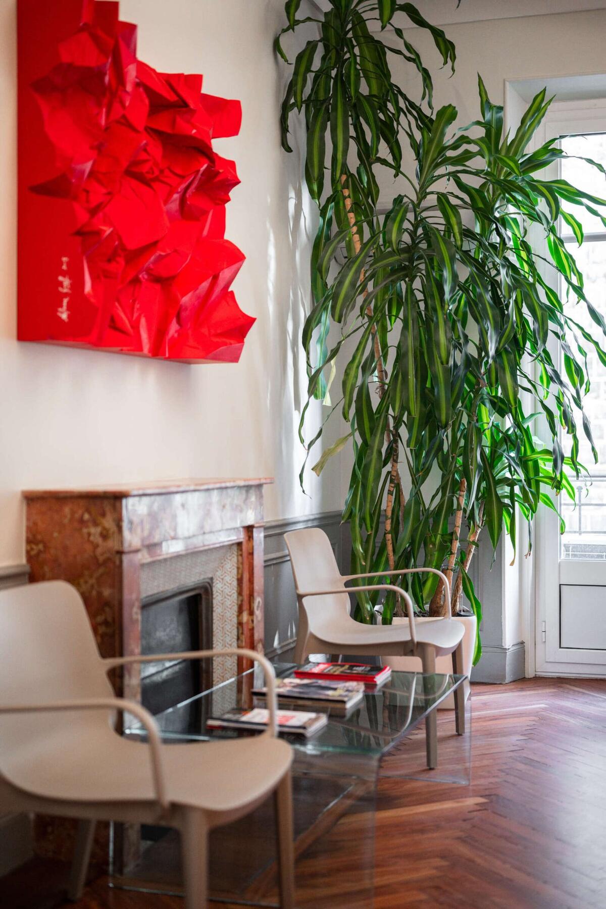 Salle d'attente cheminée et plantes - cabinet Charbit Nice