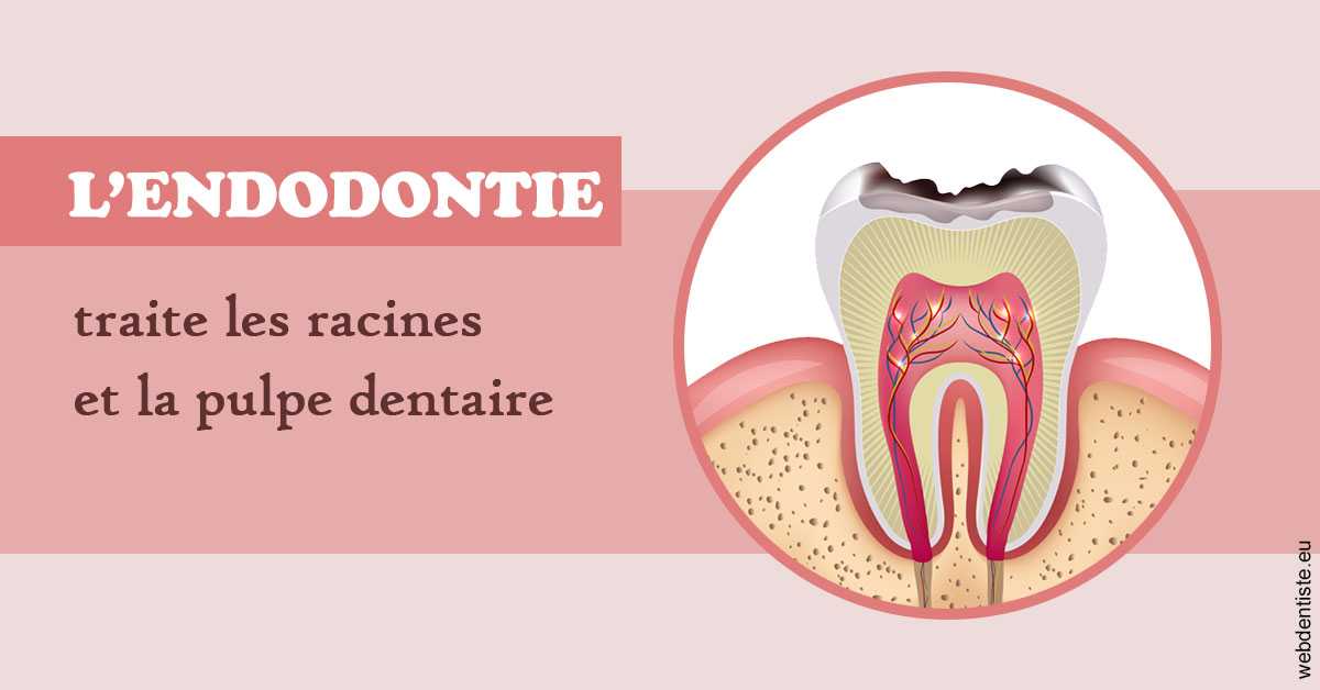 https://www.cabinet-dentaire-charbit.fr/L'endodontie 2