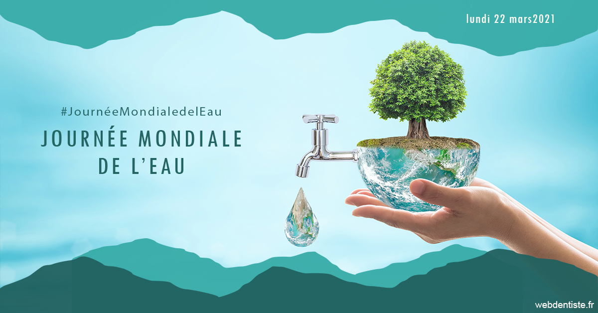 https://www.cabinet-dentaire-charbit.fr/Journée de l'eau 1