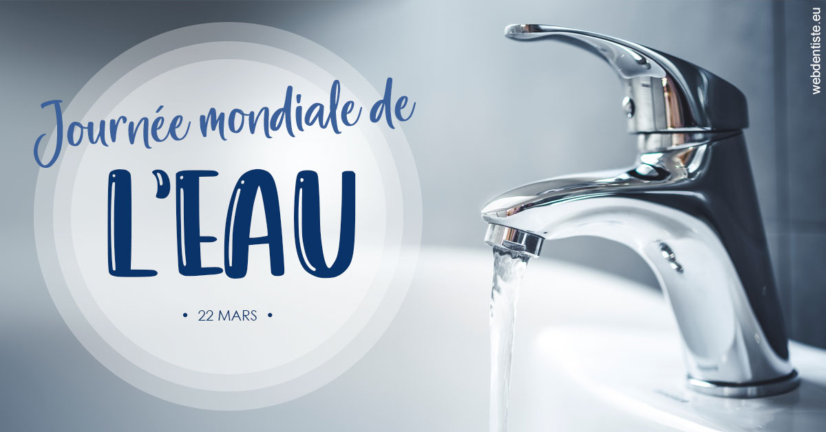 https://www.cabinet-dentaire-charbit.fr/La journée de l'eau 2