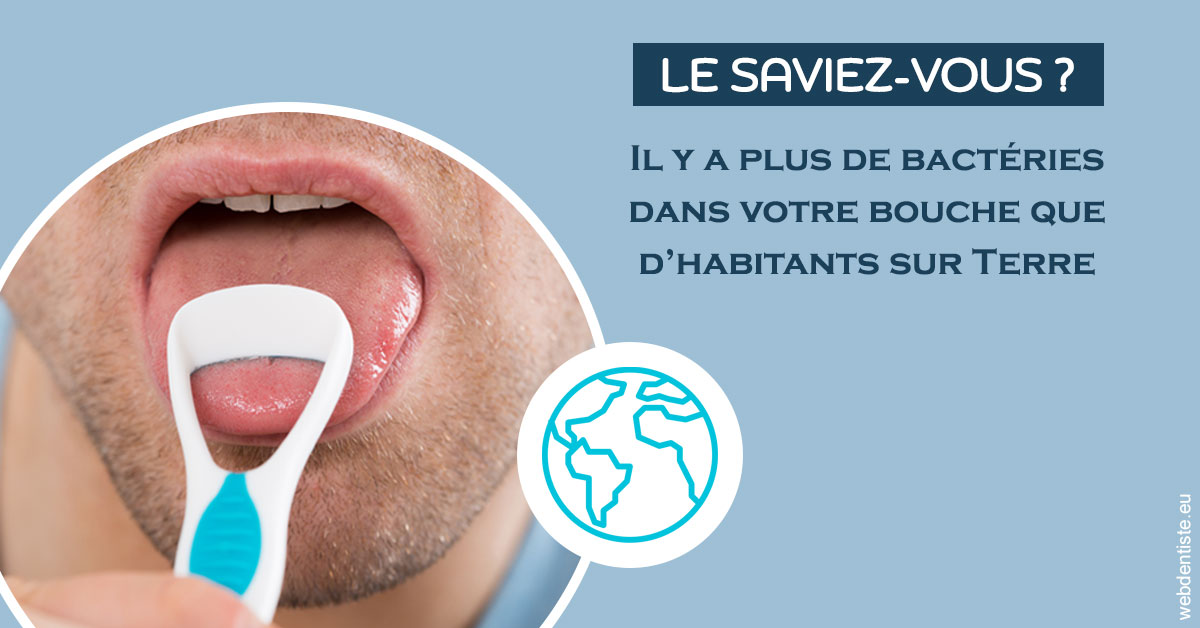 https://www.cabinet-dentaire-charbit.fr/Bactéries dans votre bouche 2
