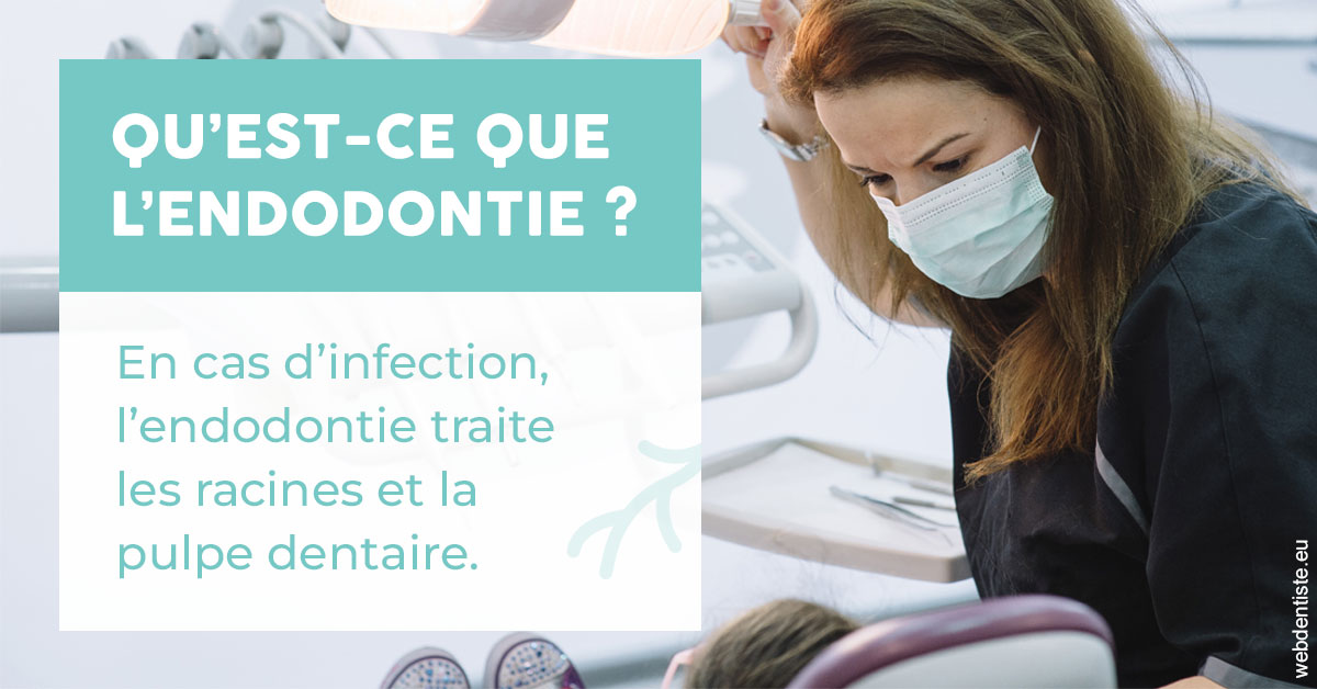 https://www.cabinet-dentaire-charbit.fr/2024 T1 - Endodontie 01